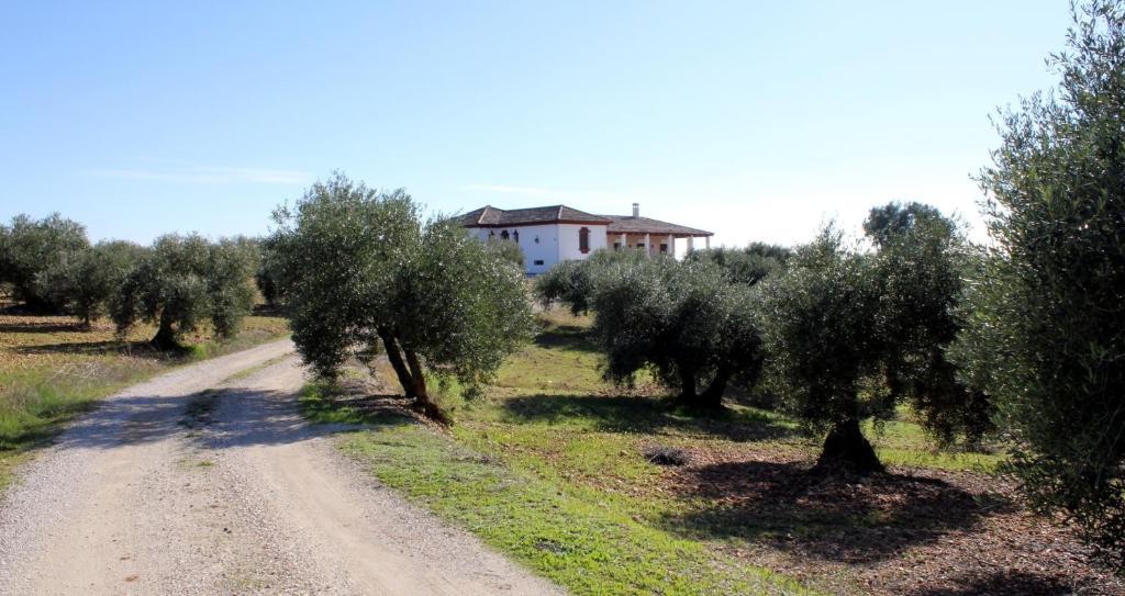 Casa Rural La Serrana La Carlota Exterior foto